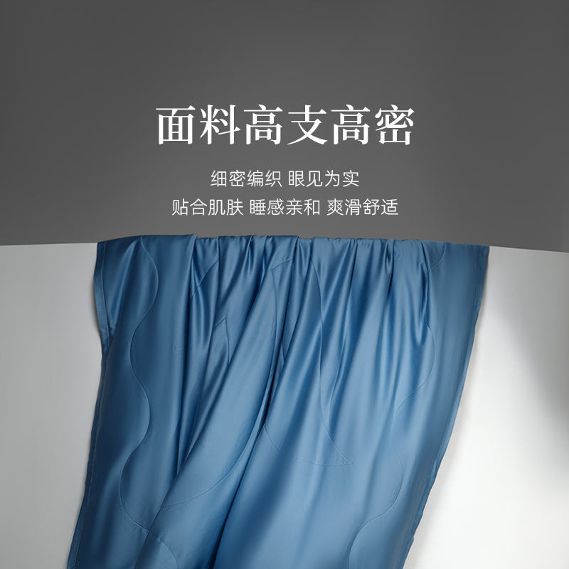 万事利 天丝面料蚕丝被可水洗纯色春秋被空调被午睡四季通用被子夏季桑蚕丝(330g 200cm×230cm)