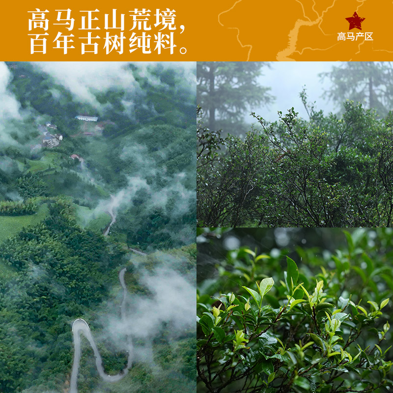 白沙溪安化黑茶 蜻蜓茶田 高马苍卷 皇家贡茶 千两茶饼 680克 