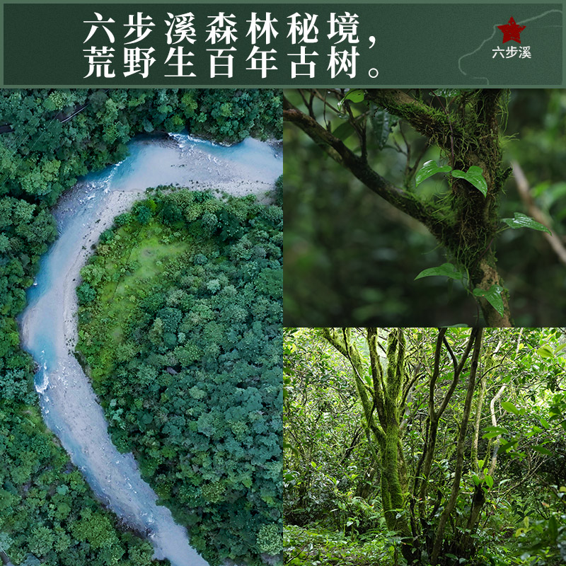 白沙溪 安化黑茶六步玲珑 天尖薄片 60克