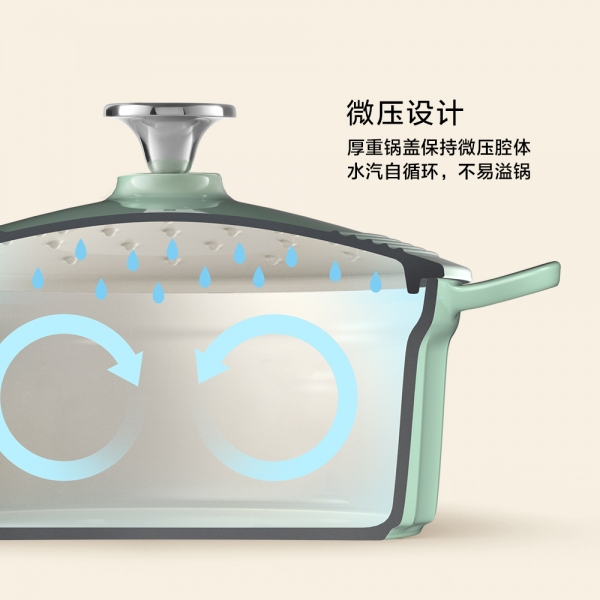 BUYDEEM北鼎 家用珐琅锅铸铁锅焖炖锅 微压锁水保鲜 不挑炉灶 2.9L 三色可选