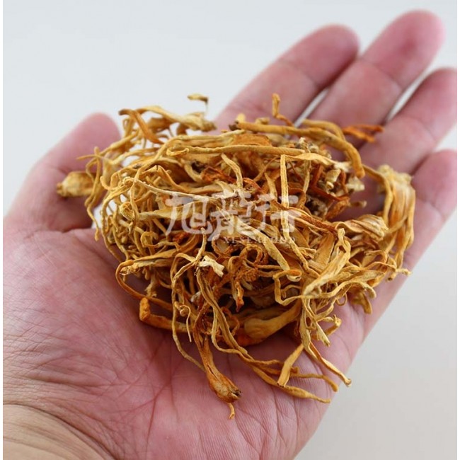 旭龙行 虫草花 有益肝肾 无添加 特级 0.5磅1磅
