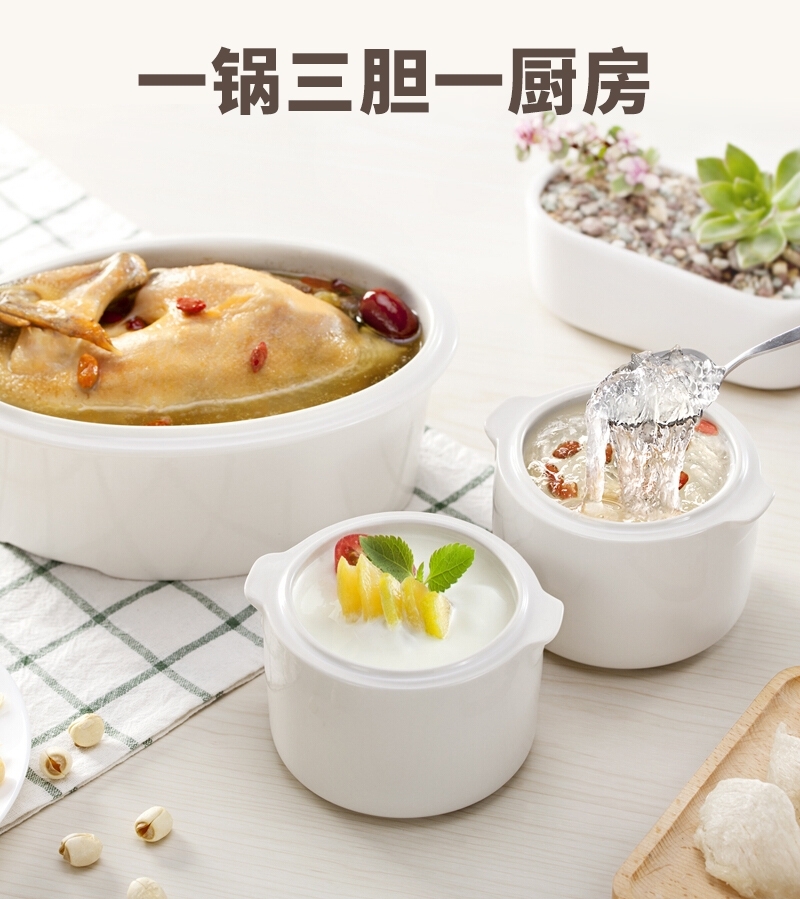 【下架】Tianji天际 迷你全自动隔水电炖盅 DDZ-16BWS 一锅三胆 蒸炖同步 1-2人用