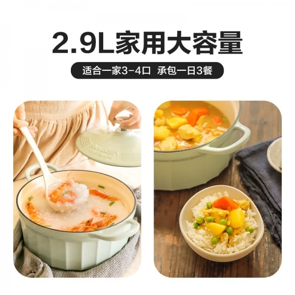BUYDEEM北鼎 家用珐琅锅铸铁锅焖炖锅 微压锁水保鲜 不挑炉灶 2.9L 三色可选
