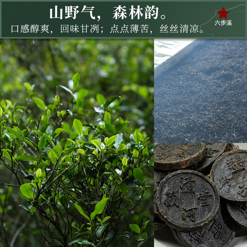 白沙溪 安化黑茶六步玲珑 天尖薄片 60克