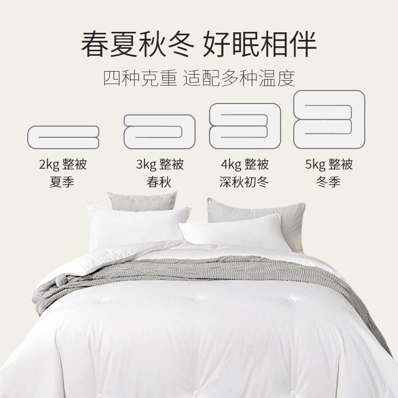 【中国直邮，时效6-10个工作日】Lullabuy桑蚕丝被子 100%纯桑蚕丝被芯 白色 King Size/Queen Size/Double Size/Twin Size-Queen Size 3KG