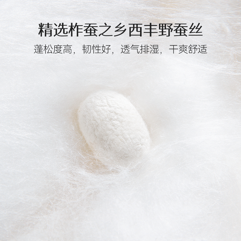 蚕花娘娘 可水洗凉感蚕丝夏被 100%蚕丝填充 空调被芯 200*230cm (300g) 蓝色 绿色