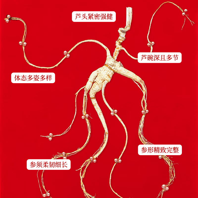【中国直邮，时效5-12天】长白山人参 官方15年及以上野山参礼盒【附野山参鉴定证书】   礼盒装 5g*1盒