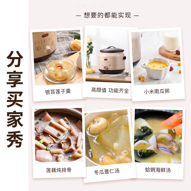 Tianji 天际 电炖锅DGD40-40SED 煲汤锅炖汤锅 紫砂内胆智能预约可定时 4L 