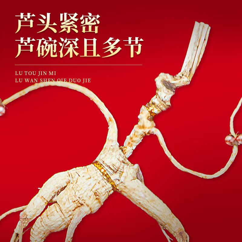 【中国直邮，时效5-12天】长白山人参 官方15年及以上野山参礼盒【附野山参鉴定证书】   礼盒装 5g*1盒