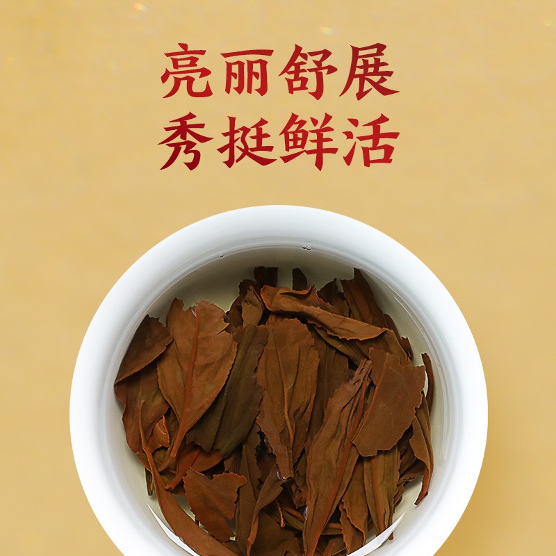 正山堂 正山小种特级红茶 水底香红茶 罐装50g