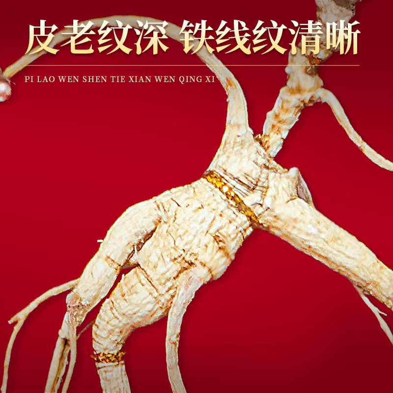 【中国直邮，时效5-12天】长白山人参 官方15年及以上野山参礼盒【附野山参鉴定证书】   礼盒装 5g*1盒