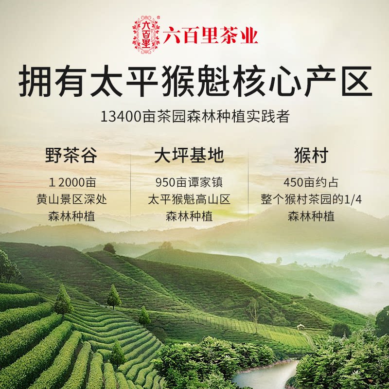 【中国直邮，时效7-15天】2026年新茶春茶六百里太平猴魁手工特级绿茶安徽茶叶徽韵系列100g