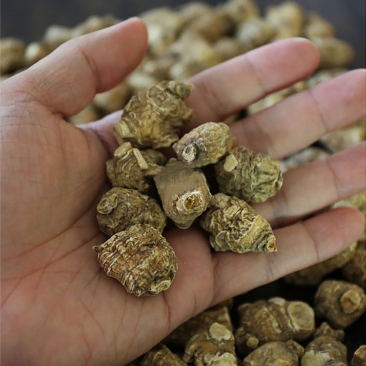 旭龙行 半野生花旗参 威州珍珠花旗参 3-6年生珍珠泡参 全修剪