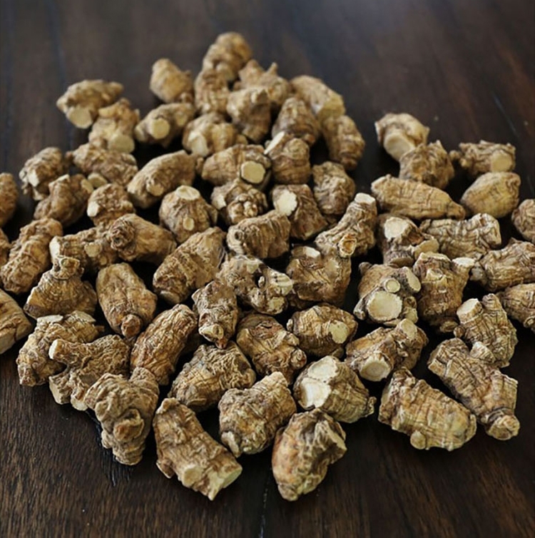 旭龙行 半野生花旗参 威州珍珠花旗参 3-6年生珍珠泡参 全修剪