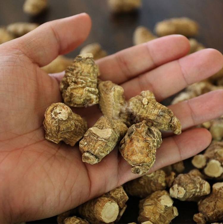 旭龙行 半野生花旗参 威州珍珠花旗参 3-6年生珍珠泡参 全修剪