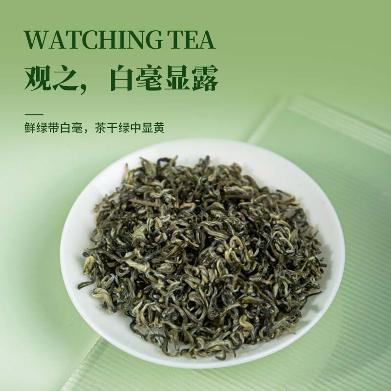 【中国直邮，时效7-15天】贵天下2026新茶明前都匀毛尖绿茶叶珍品茗茶芽茶贵州高山云雾100克