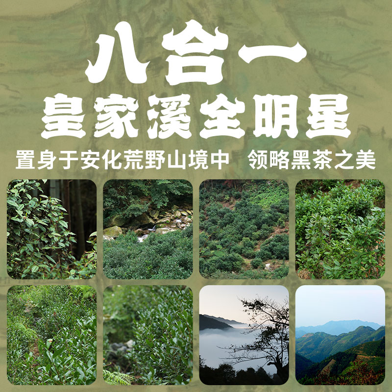 白沙溪 大荒之美 安化黑茶八合一品鉴合集 皇家溪全明星系列  7克*10袋
