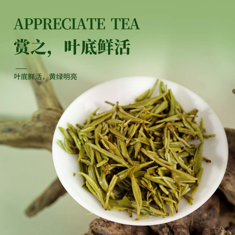 【中国直邮，时效7-15天】贵天下2026新茶明前都匀毛尖绿茶叶珍品茗茶芽茶贵州高山云雾100克