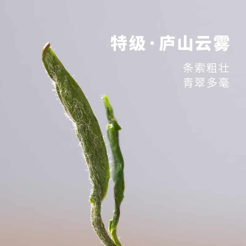 【中国直邮，时效7-15天】庐山明前特级2026年新茶庐山云雾茶 九江高山绿茶茶叶铁罐装60g
