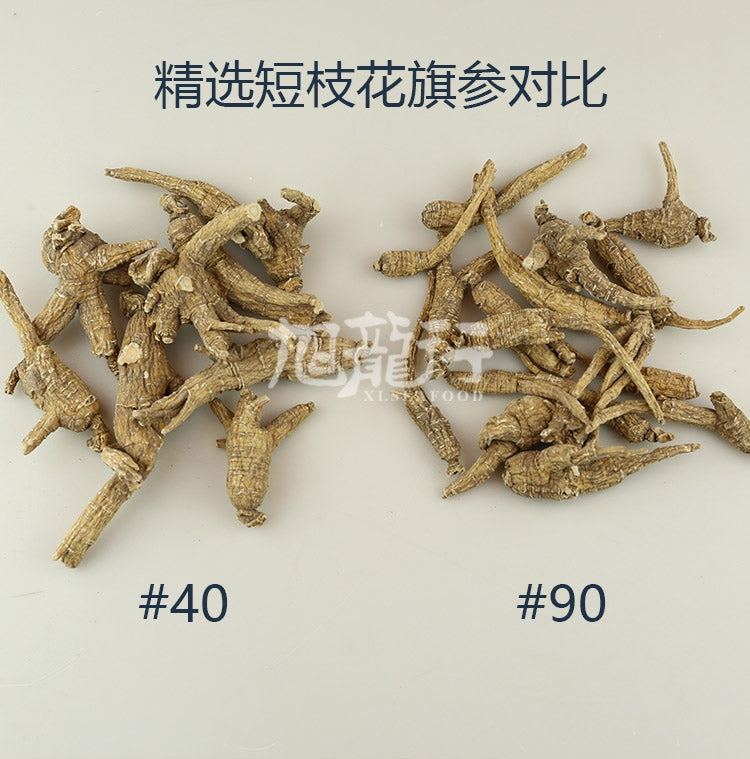 旭龙行 特级威州移种半野生 短枝花旗参3-5年参