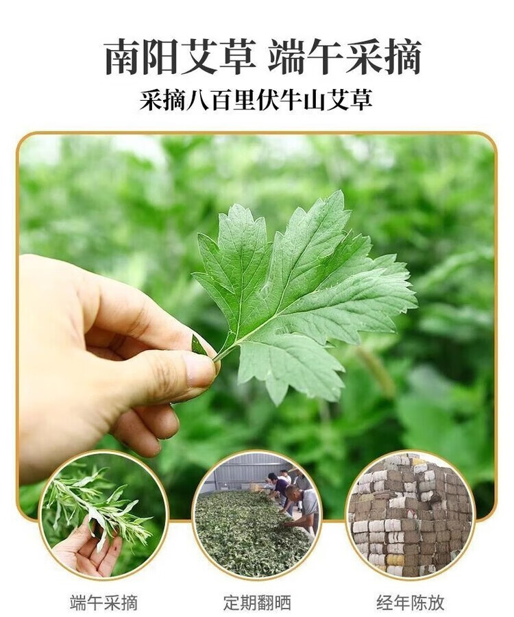 【下架】同仁堂 南京同仁堂艾草养生锤肩颈按摩捶背敲打按摩锤背腿部经络疏通手持按摩器 长款26cm