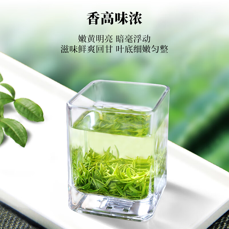 【中国直邮，时效10-15天】文新 绿茶1915信阳毛尖特级160g 2024年明前礼盒装新茶上市