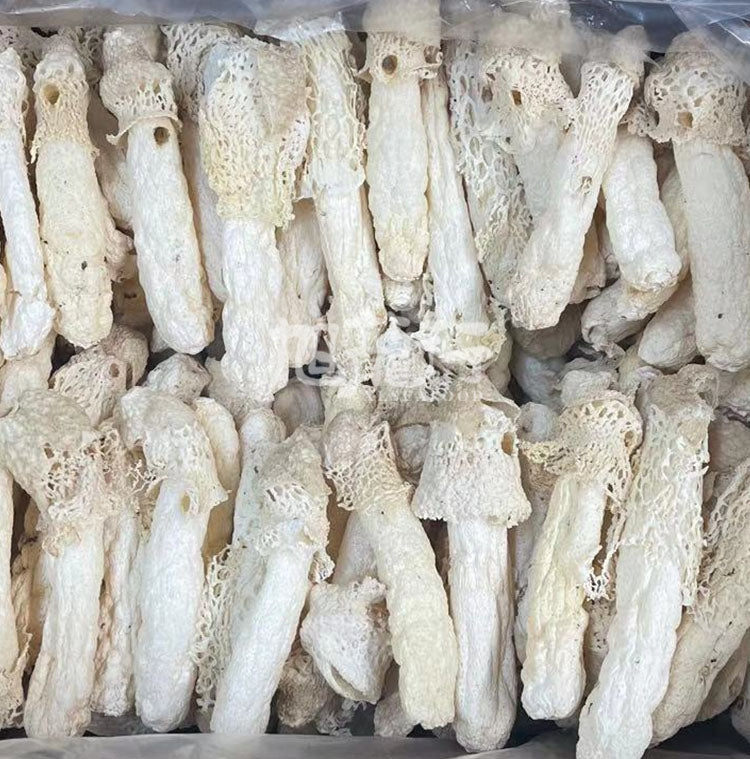 旭龙行 云南香格里拉 野生菌 特级 全干 野生竹笙 4OZ 113克装 