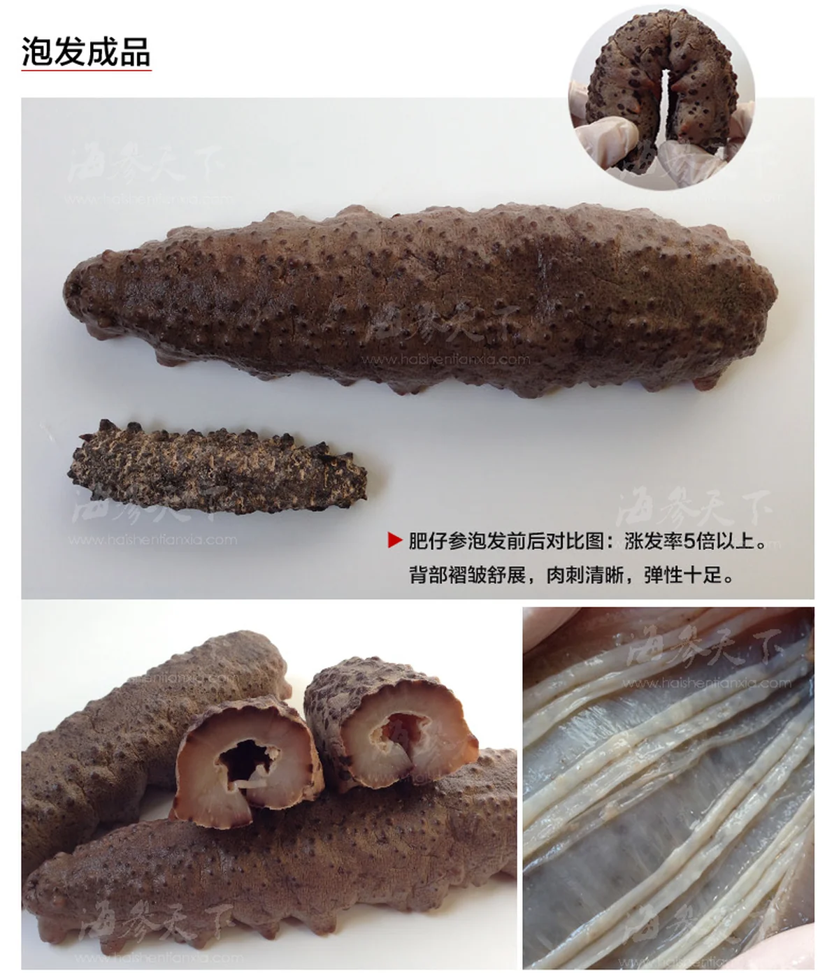 海参天下 淡干南美黑仔刺参 6种规格可选