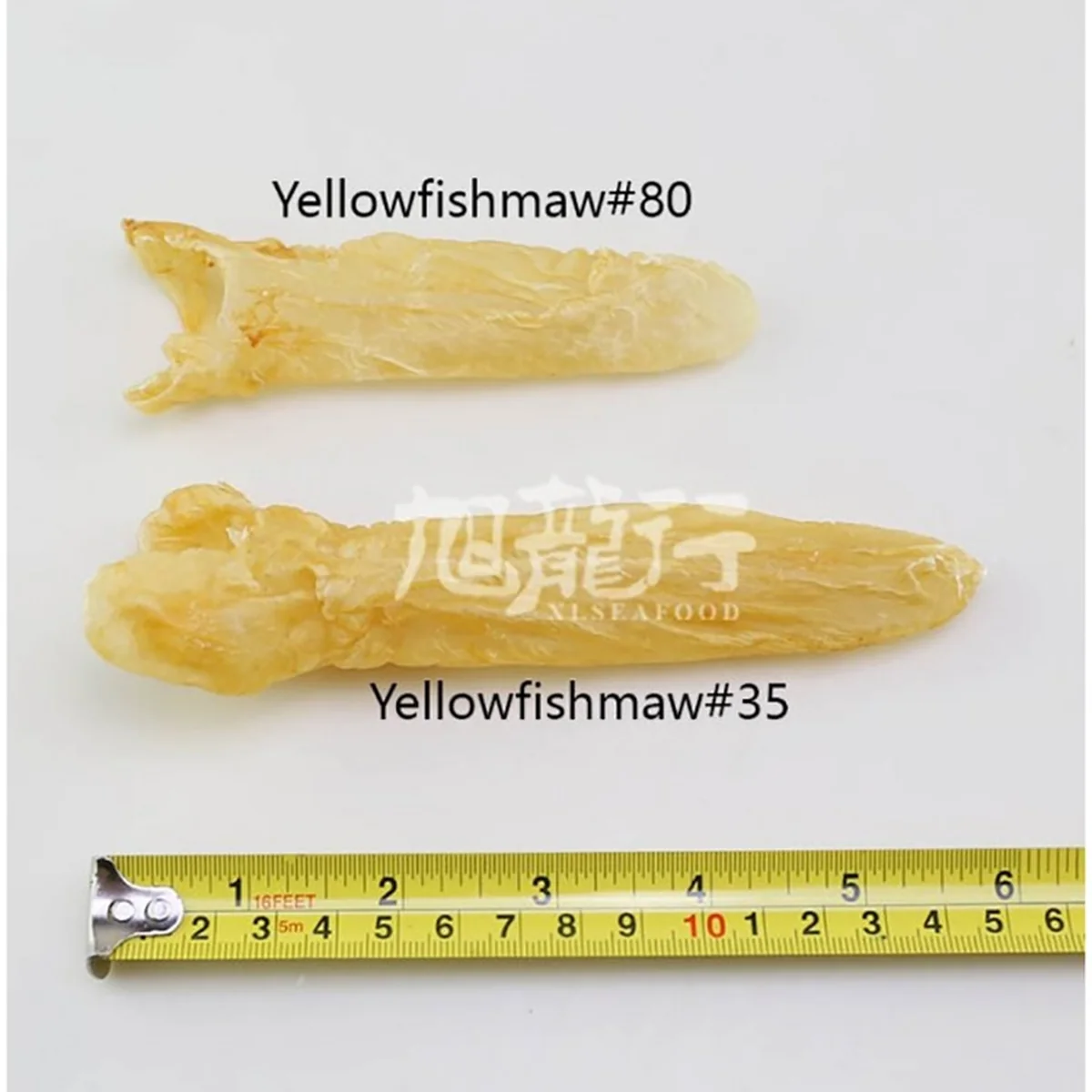 XLSeafood Dried Fish Maw Roll Rich in Collagen Skin Beauty Cuisine Tonic