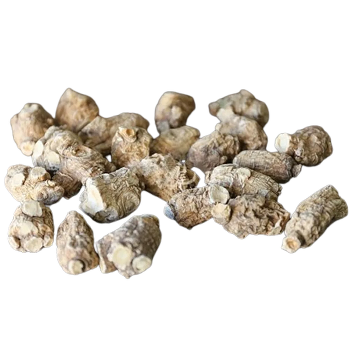 旭龙行 半野生花旗参 威州珍珠花旗参 3-6年生珍珠泡参 全修剪-大号 0.5磅