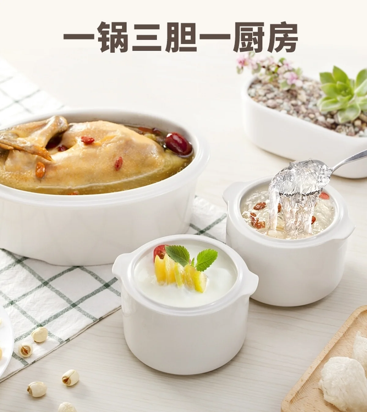 TIANJI DDZ-16BWS Mini Stew Pot