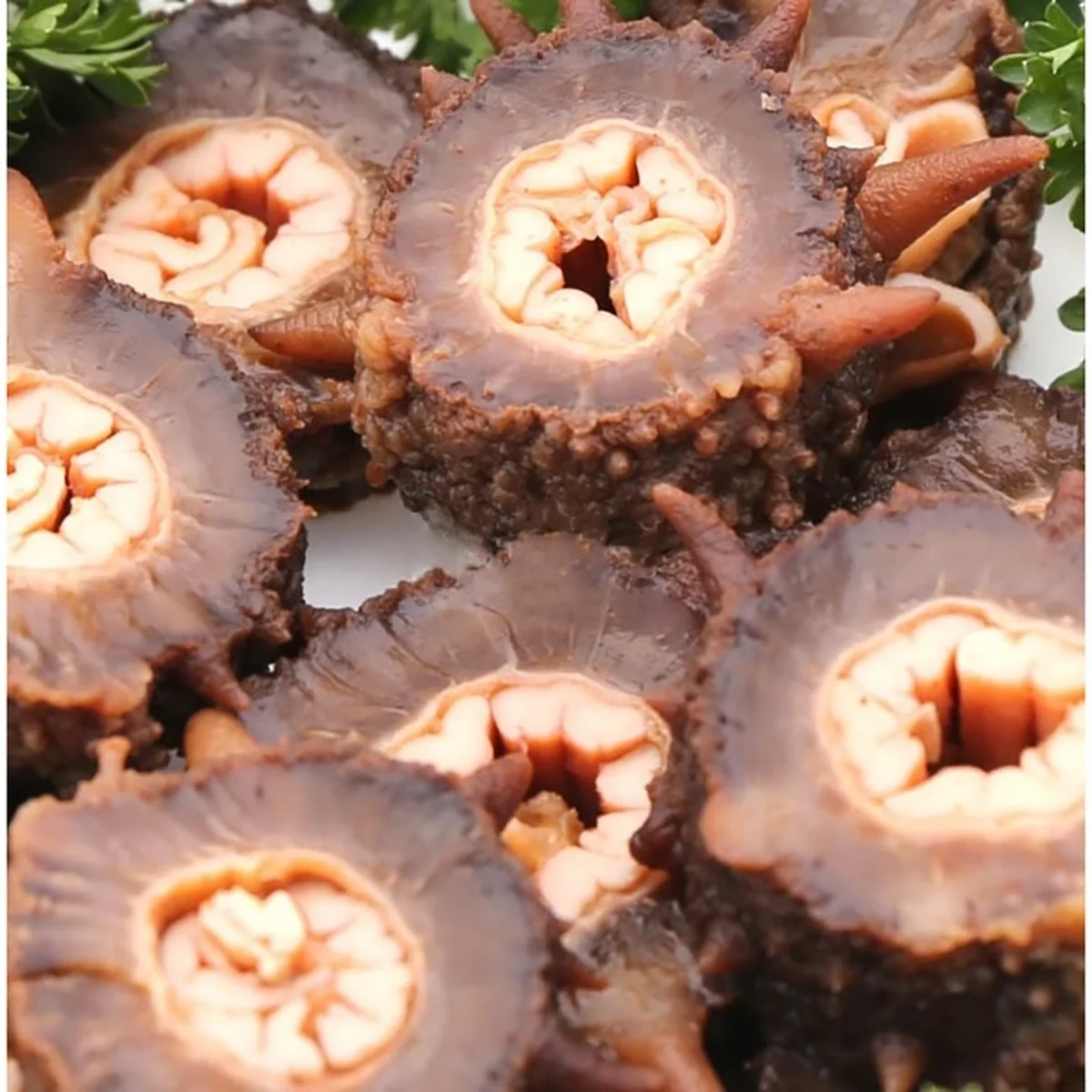 XLSeadfood AAA Grade Dried Alaska Sea Cucumber