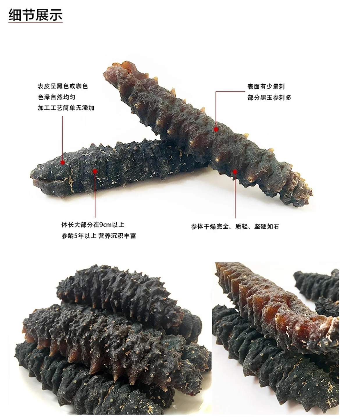 海参天下 淡干中美洲黑玉参 两种规格