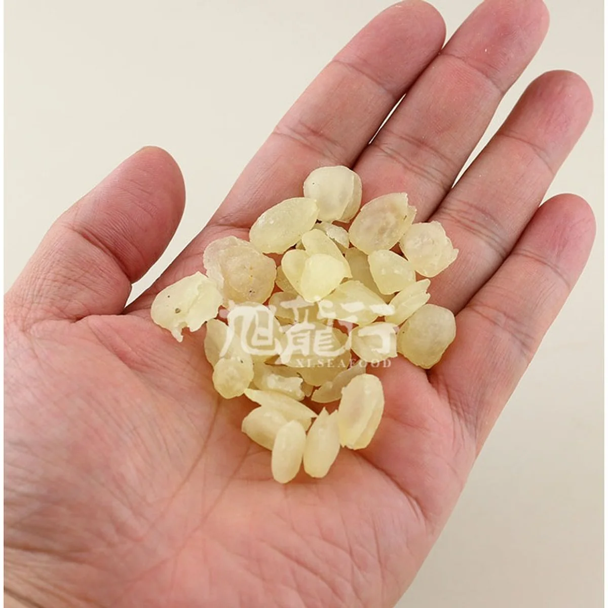 XLSEAFOOD Wild Guizhou Double Pod Ginsenosia Michelia Seeds, moisturizing and laxative, regulating blood sugar, high-quality 227g (0.5lb)