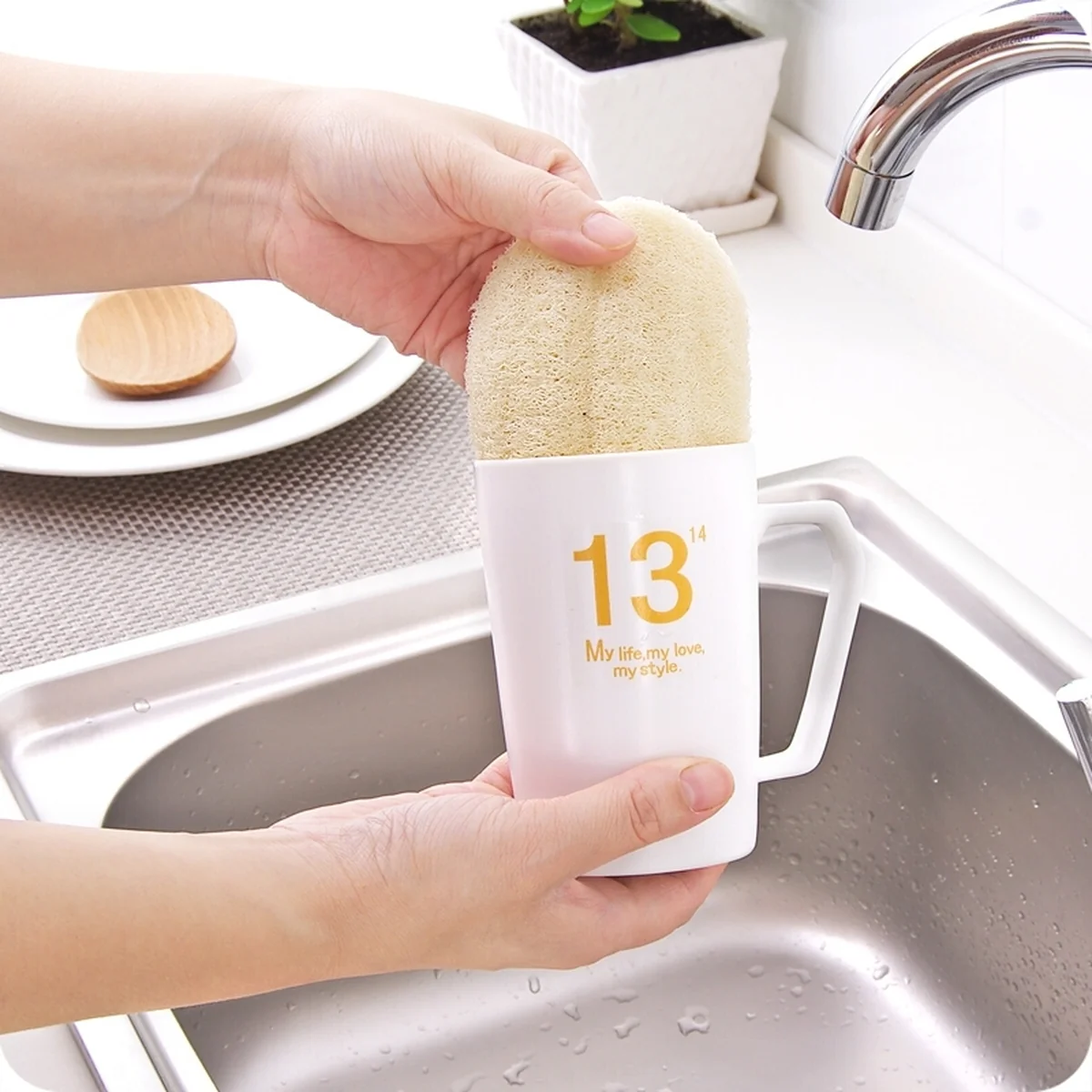 Microfiber Dishcloth and Towel Gourd Brush Loofah Sponge
