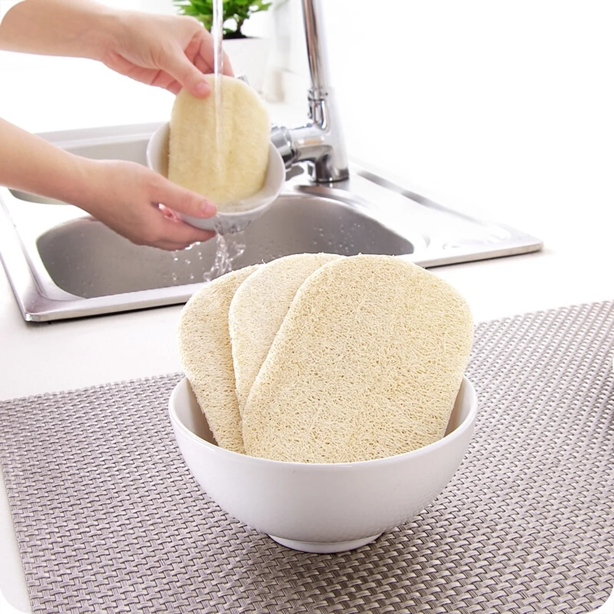 Microfiber Dishcloth and Towel Gourd Brush Loofah Sponge