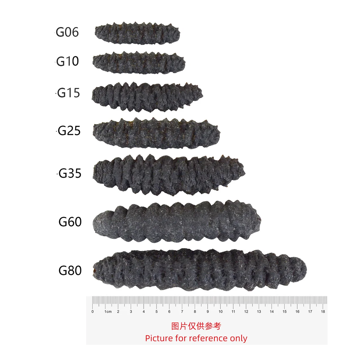 德成行 G10加勒比海 彩虹参海参 高蛋白 低脂肪 16oz