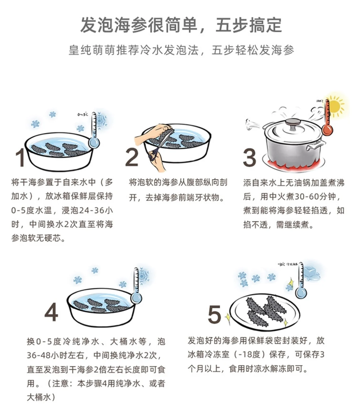 海参天下 淡干中美洲黑玉参 两种规格