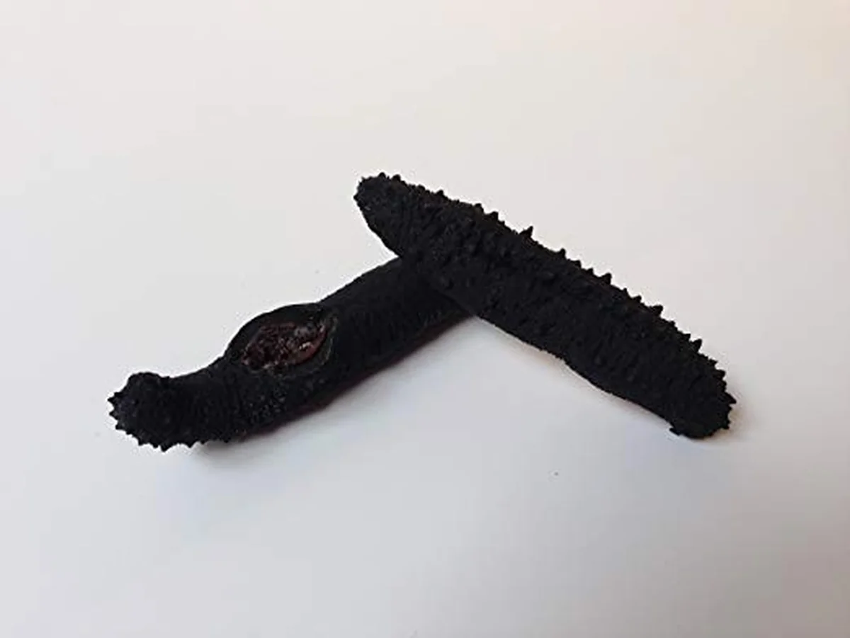 Haishentianxia Wild Black Spike Dried Atlantic Sea cucumber EU001
