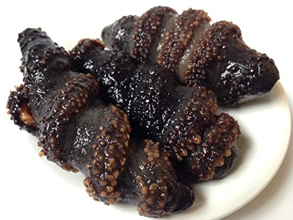 Haishentianxia Wild Canada Atlantic Sea Cucumber 2lb Pack CN001