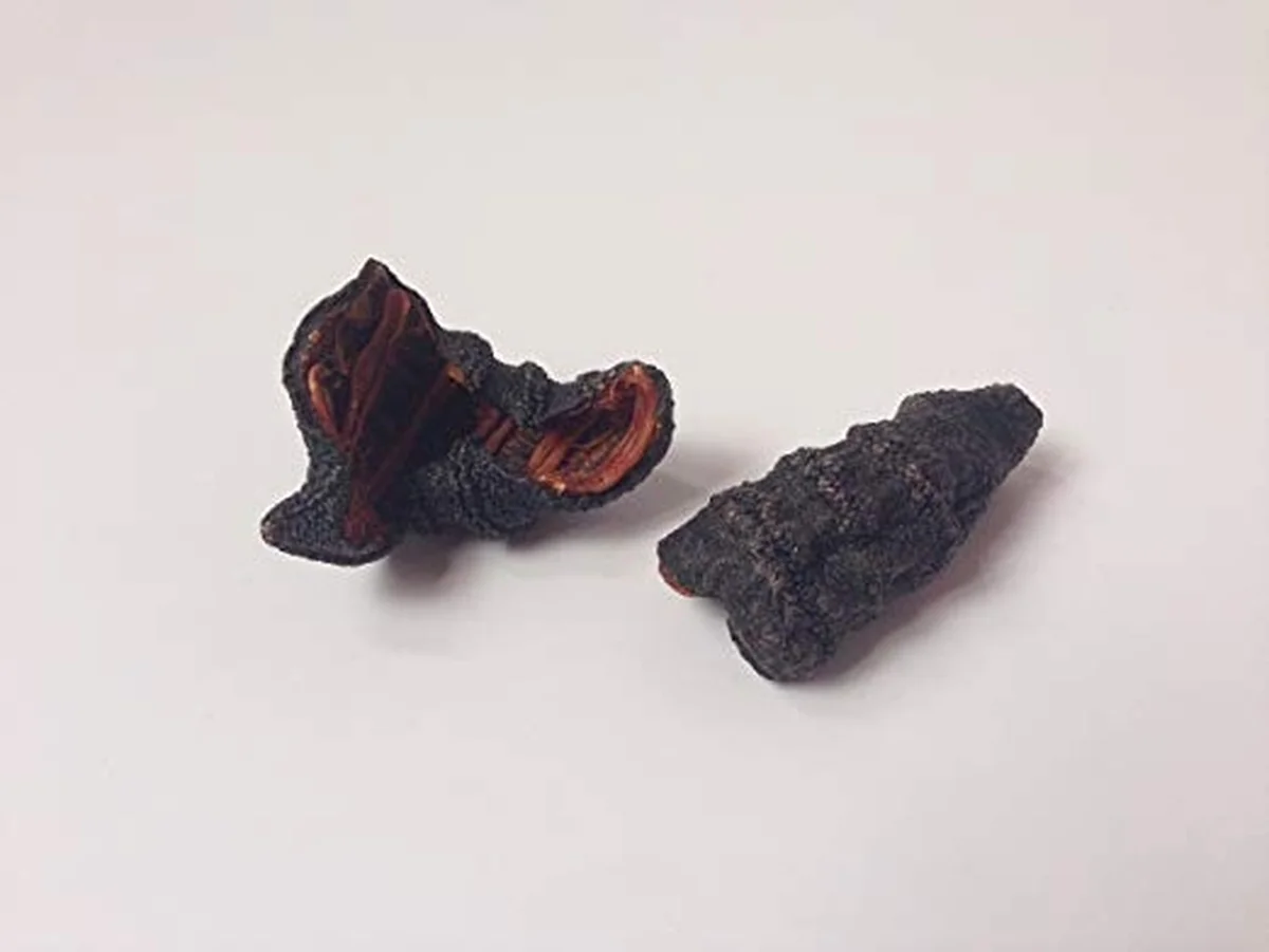 Haishentianxia Wild Canada Atlantic Sea Cucumber 2lb Pack CN001