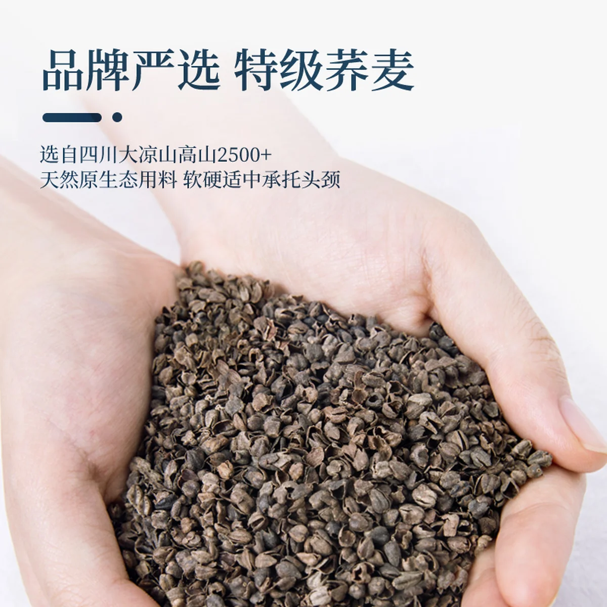 蜀国御 5斤装全荞麦壳枕头颈椎枕头 夏季透气 舒适睡眠 单人配枕套 2.5kg