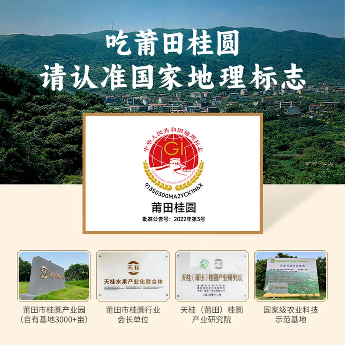 【中国直邮，时效7-15天】古小圆 特级桂圆干莆田特产大桂圆 古法龙眼干（果径29mm特大果）250g*2罐