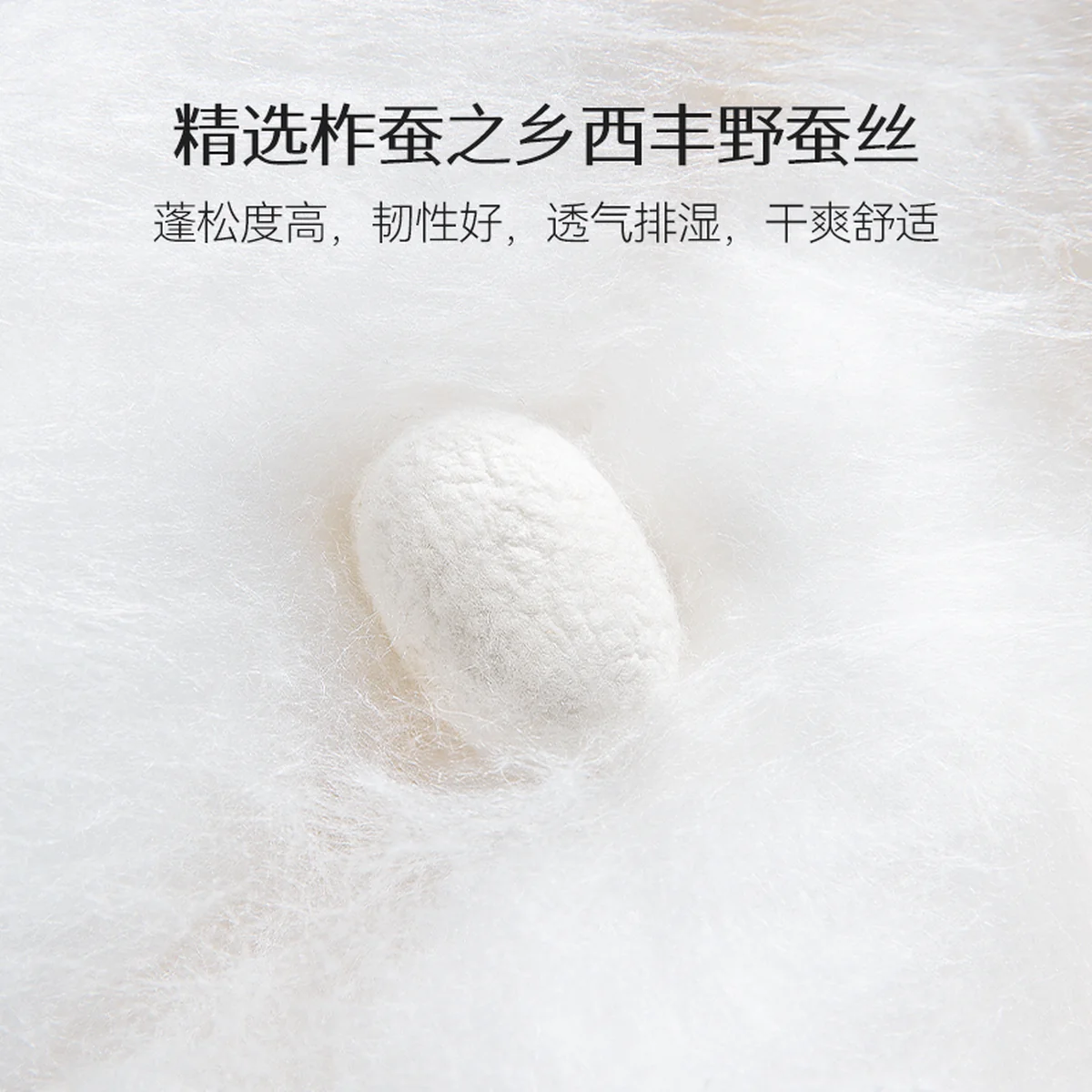 蚕花娘娘 可水洗凉感蚕丝夏被 单件被子 100%蚕丝填充 空调被芯 200*230cm (300g) 蓝色 绿色