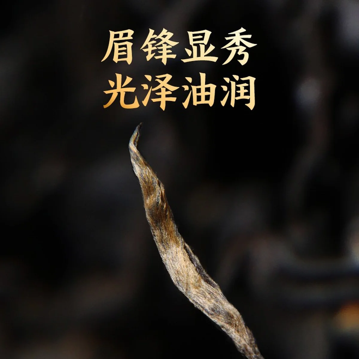 Zhengshantang, Yin Junmei, Wuyi Black Tea, Canned, 50g