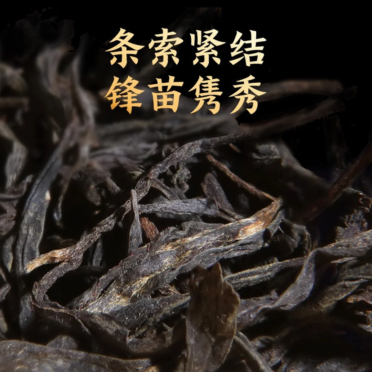 Zhengshantang, SHUI DI XIANG, Wuyi Black Tea, Canned, 50g