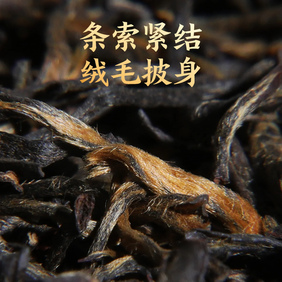 Zhengshantang, Aged Fir Narcissus Black Tea, Wuyi Black Tea, Canned, 50g