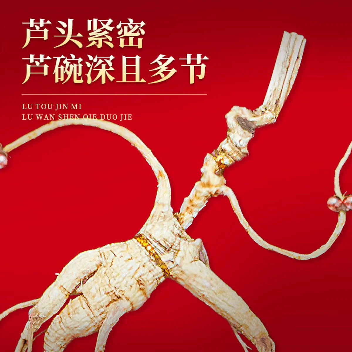 【中国直邮，时效7-15天】长白山人参 官方15年及以上野山参礼盒【附野山参鉴定证书】   礼盒装 5g*1盒