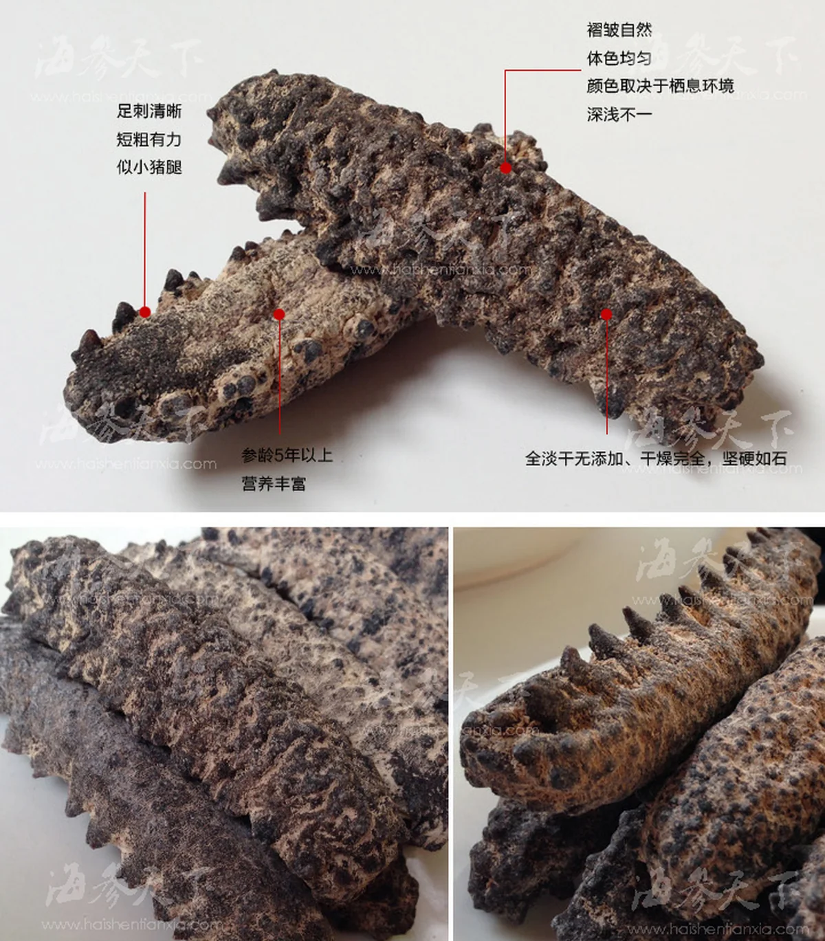 海参天下 淡干南美黑仔刺参 6种规格可选