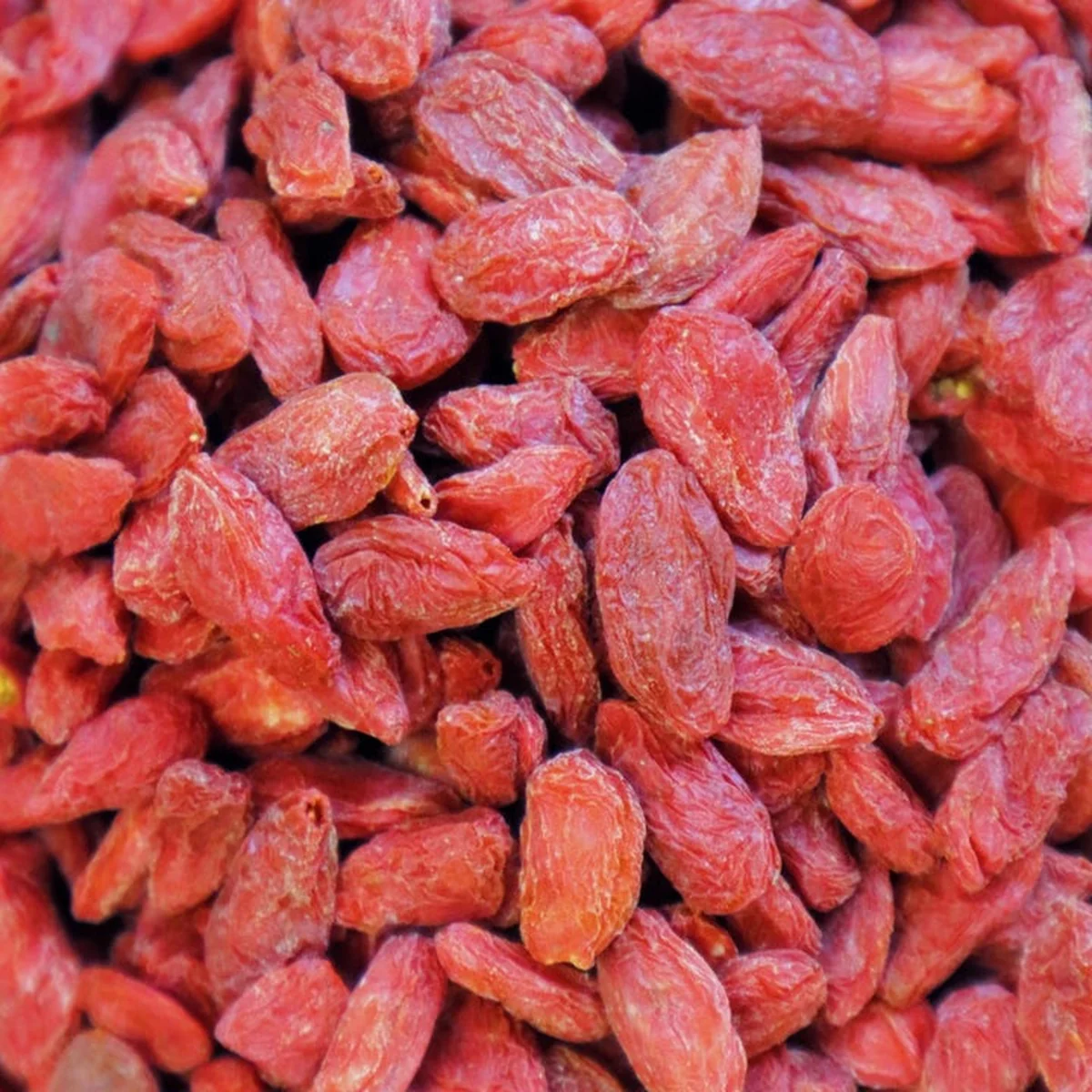 JiuLongTang Premium Ningxia Goji King for Wellness, Tea and Soups 8oz/1lb